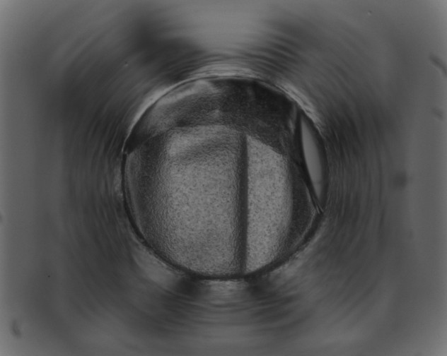 X0000095671465200801221153