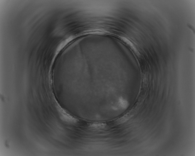 X0000095671466200801221153