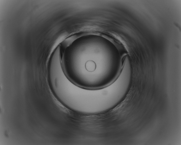 X0000095671467200801221153