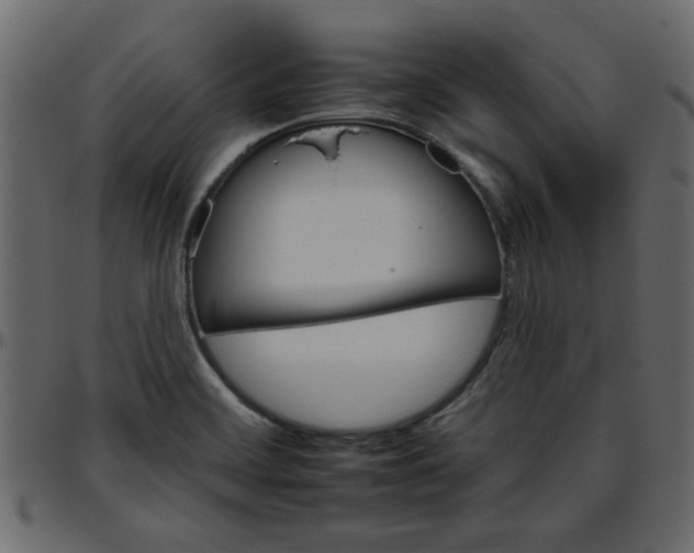 X0000095671468200801221153