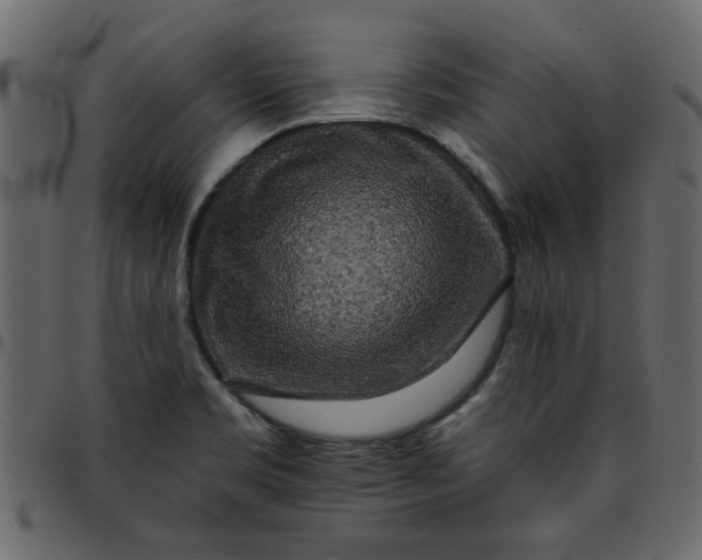 X0000095671469200801221153