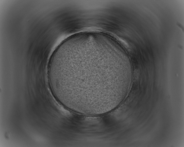 X0000095671470200801221153