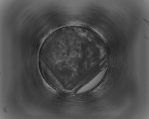 X0000095671471200801221153