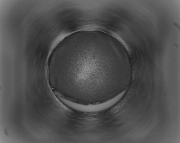 X0000095671472200801221153