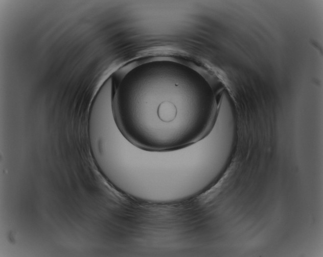 X0000095671473200801221153