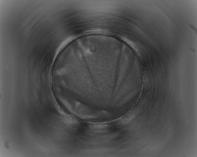 X0000095671474200801221153