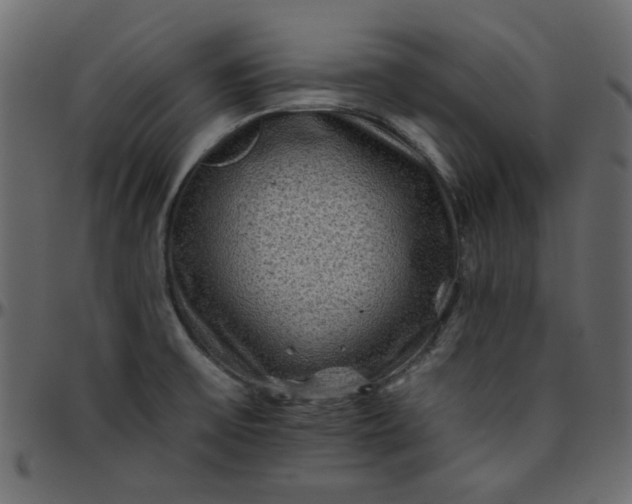 X0000095671475200801221153