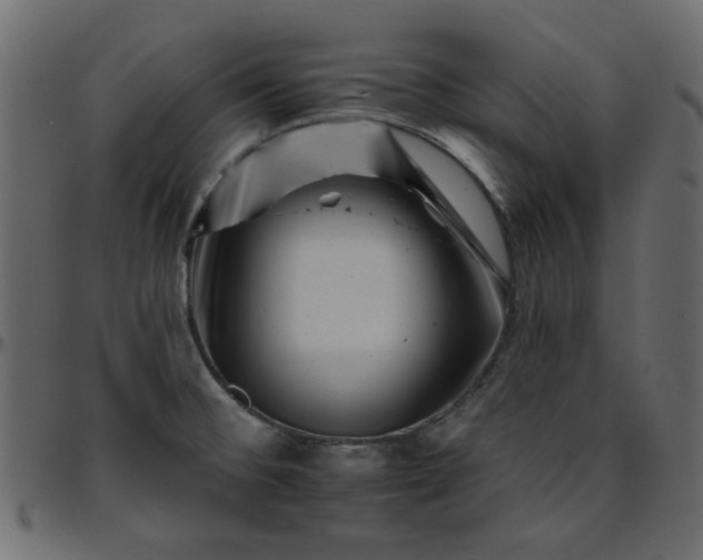 X0000095671476200801221153