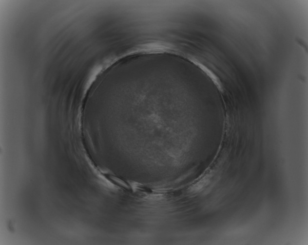 X0000095671477200801221153