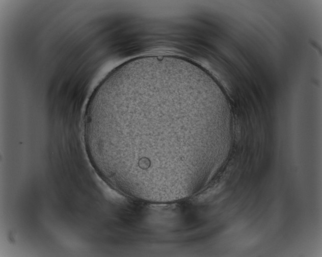 X0000095671478200801221153