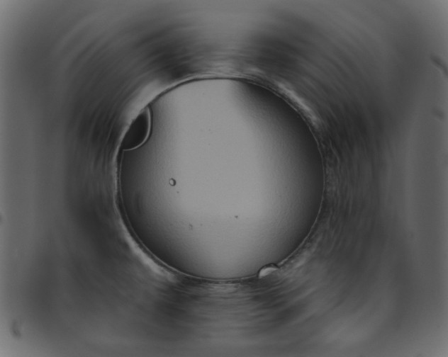 X0000095671479200801221153