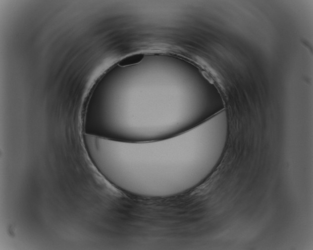 X0000095671480200801221153