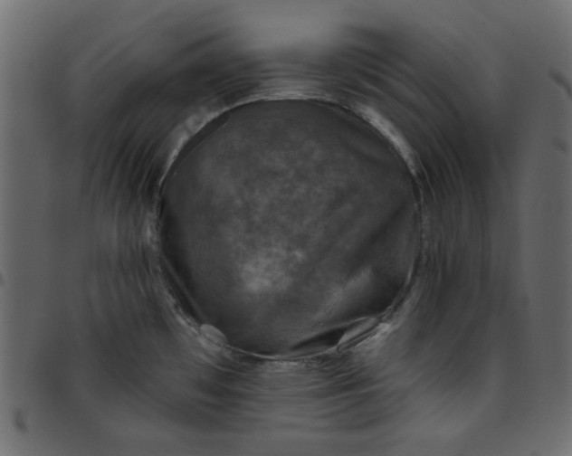 X0000095671481200801221153