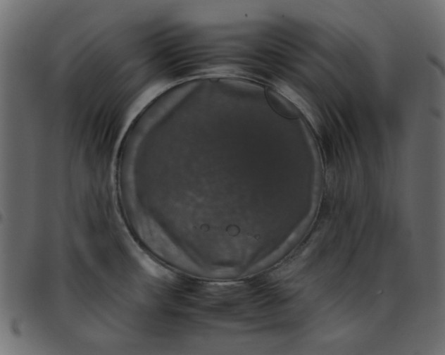 X0000095671482200801221153