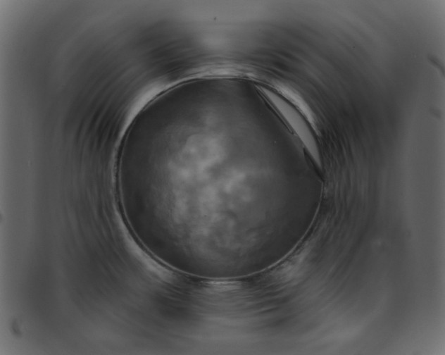 X0000095671483200801221153