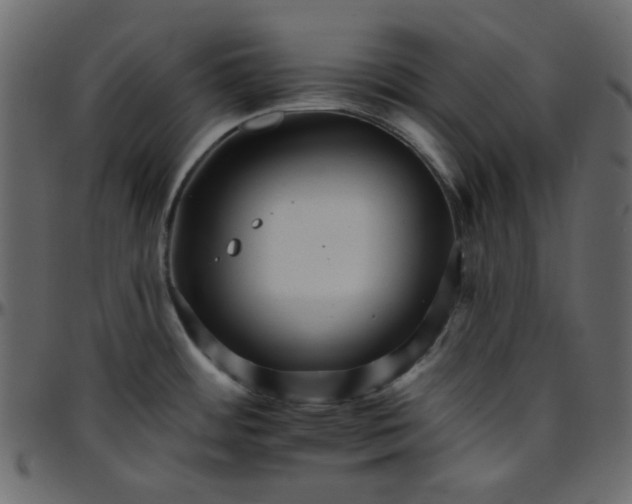 X0000095671484200801221153