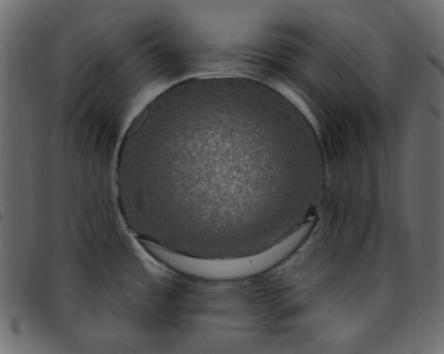 X0000095671485200801221153