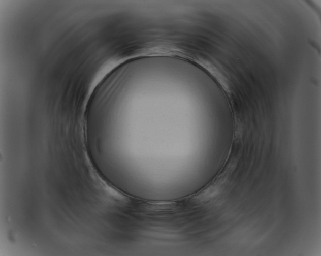 X0000095671486200801221153