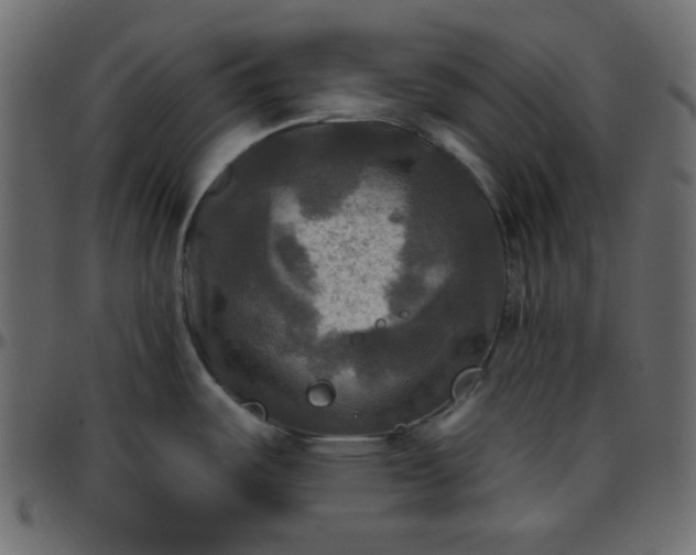 X0000095671487200801221153