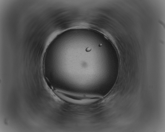 X0000095671488200801221153