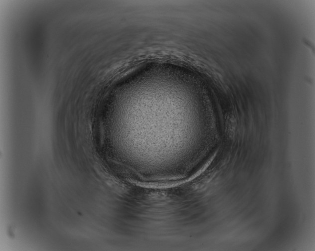 X0000095671489200801221152