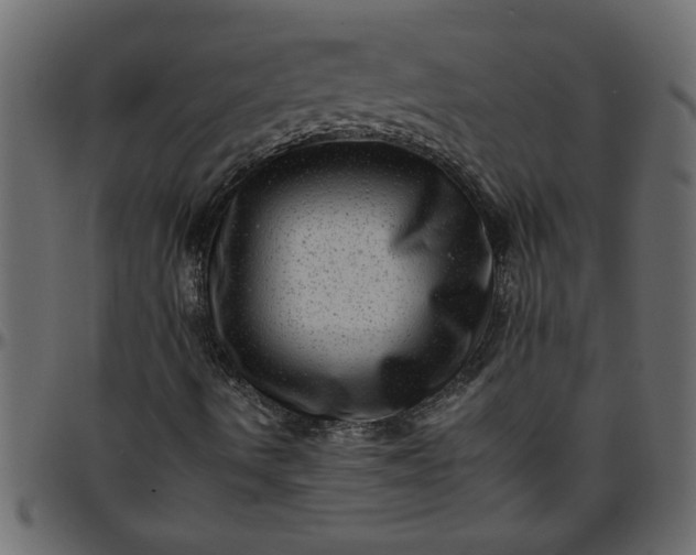 X0000095671490200801221152