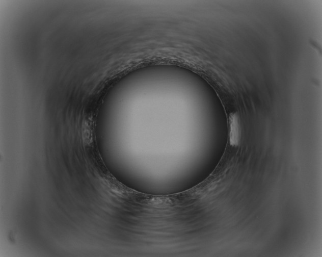 X0000095671491200801221152