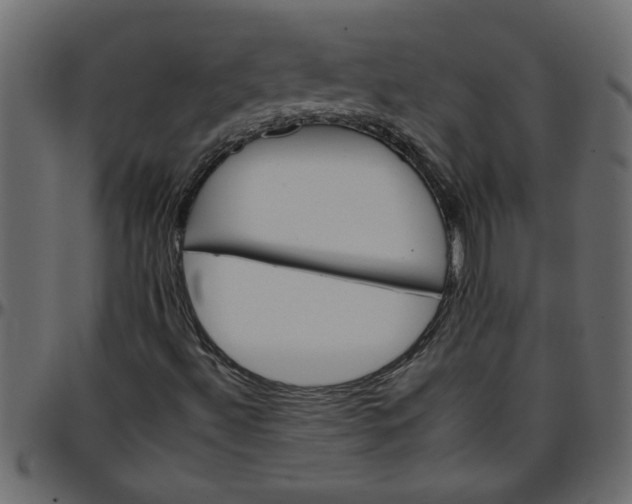 X0000095671492200801221152