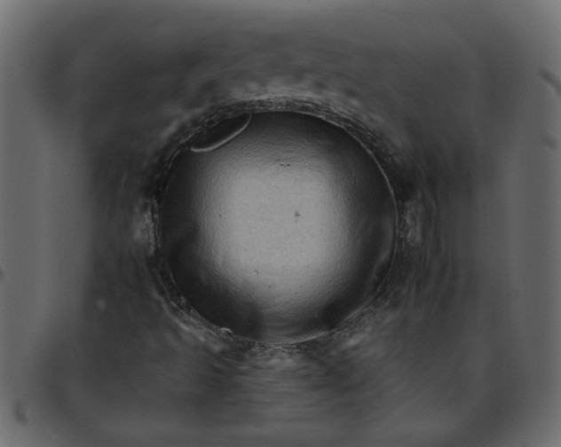 X0000095671493200801221152