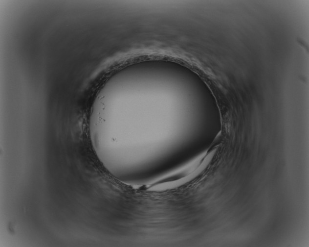 X0000095671495200801221152