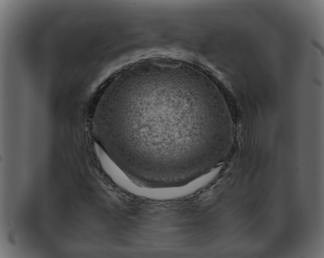 X0000095671496200801221152