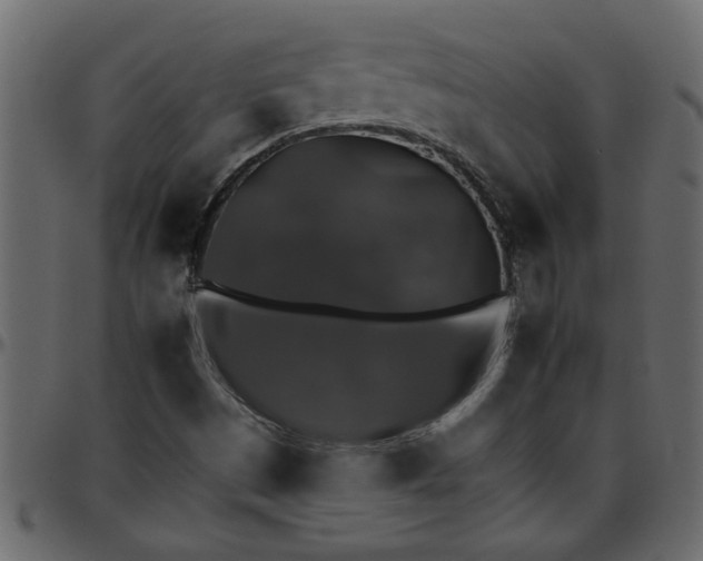 X0000095671497200801221152