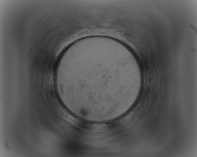 X0000095671498200801221152