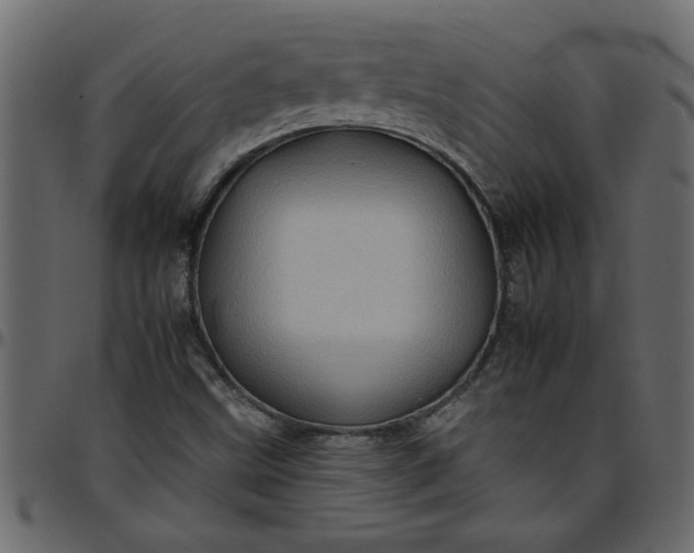 X0000095671499200801221152