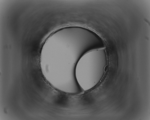 X0000095671502200801221152