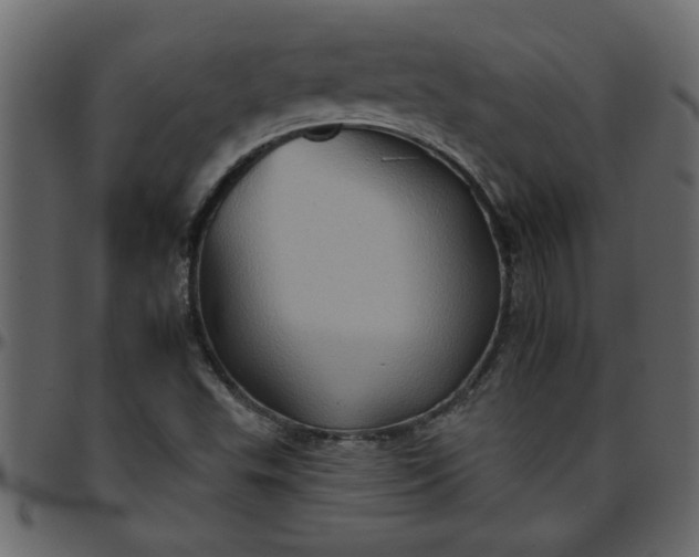 X0000095671503200801221152