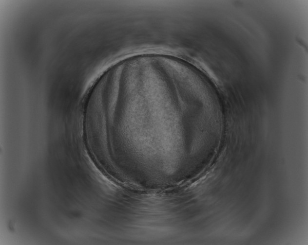 X0000095671504200801221152