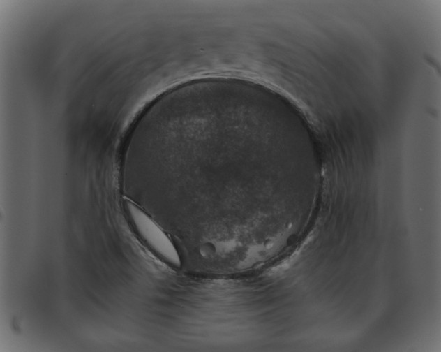 X0000095671506200801221152