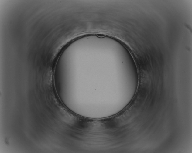 X0000095671507200801221152