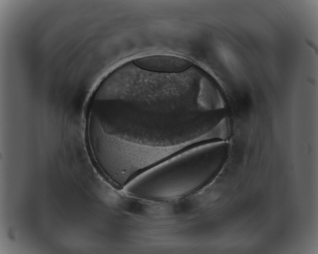 X0000095671508200801221152