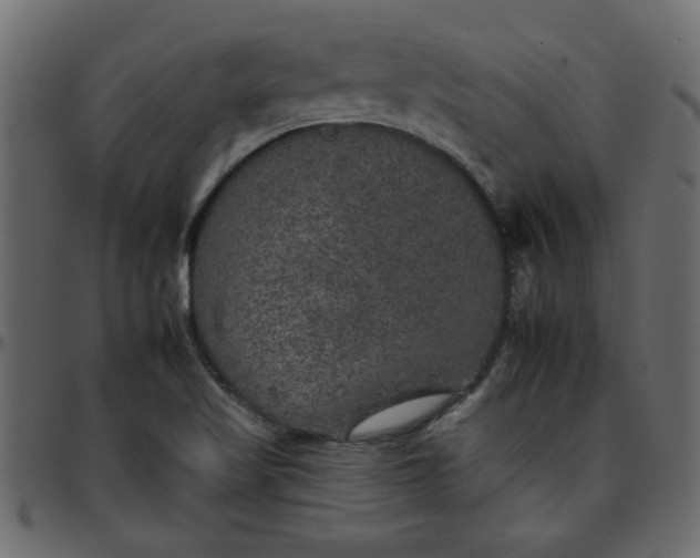 X0000095671509200801221152