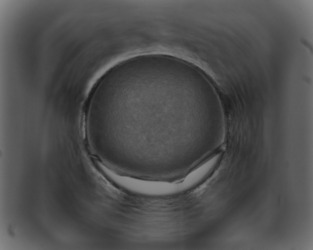 X0000095671510200801221152