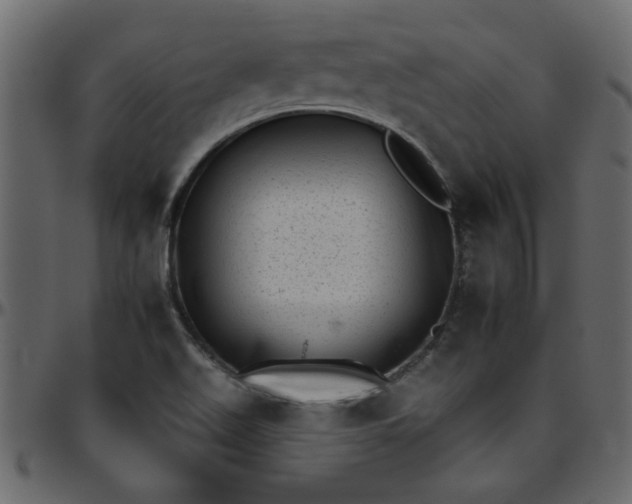 X0000095671511200801221152