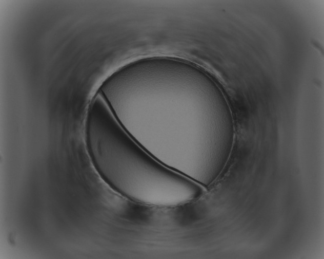 X0000095671512200801221152