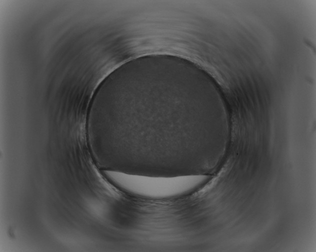 X0000095671513200801221152