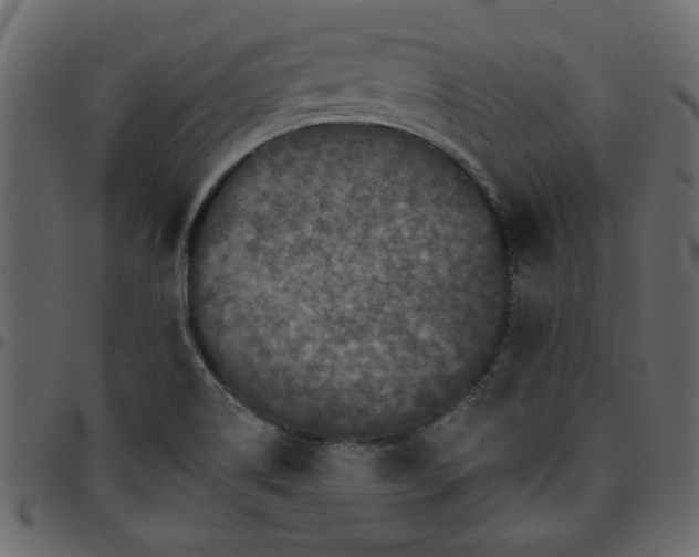 X0000095671514200801221152