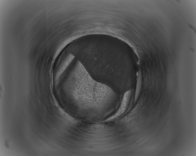 X0000095671515200801221152