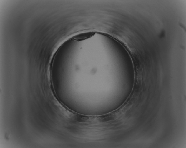 X0000095671516200801221152