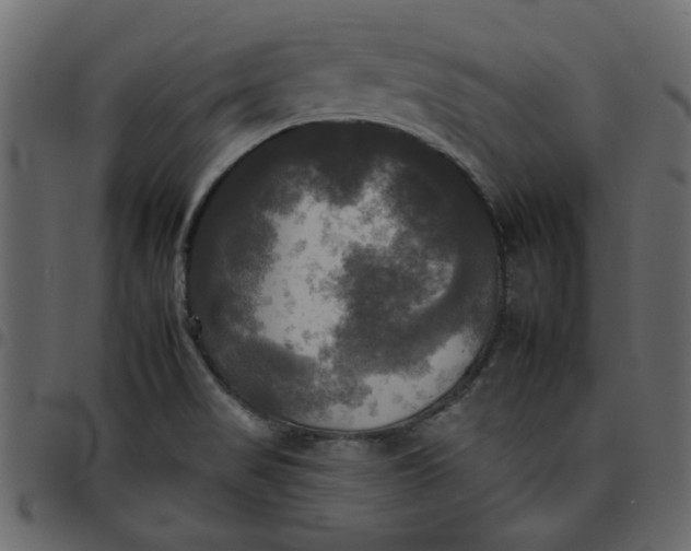 X0000095671517200801221152