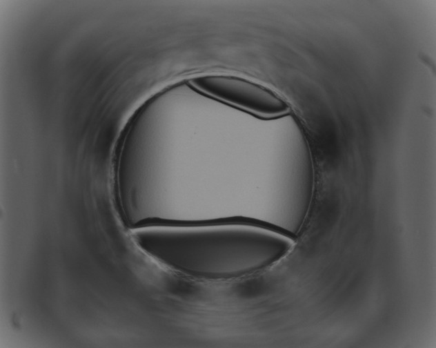 X0000095671518200801221152